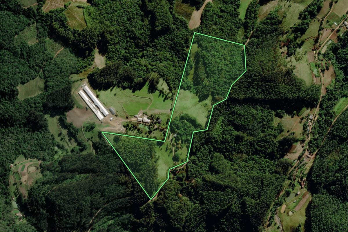 Imagem de satélite do imóvel rural em Progresso (RS), com o contorno declarado no CAR desenhado por cima.