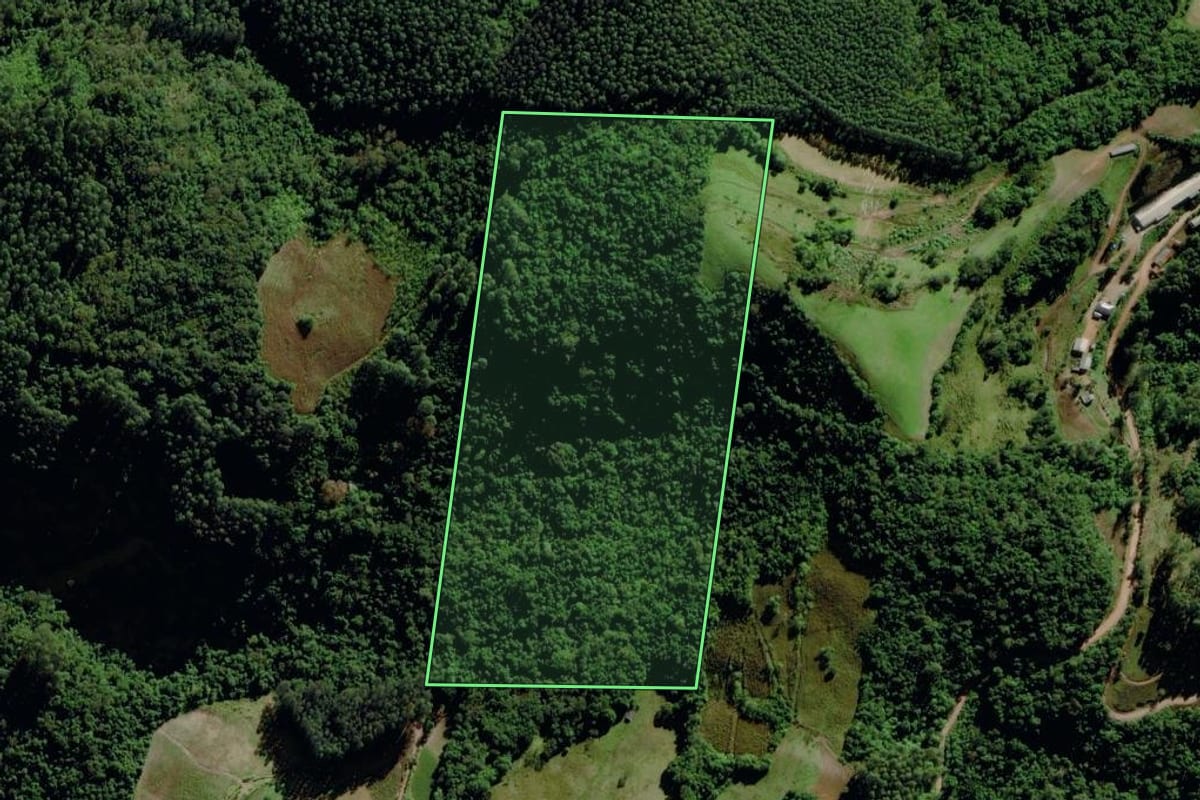 Imagem de satélite do imóvel rural em Progresso (RS), com o contorno declarado no CAR desenhado por cima.