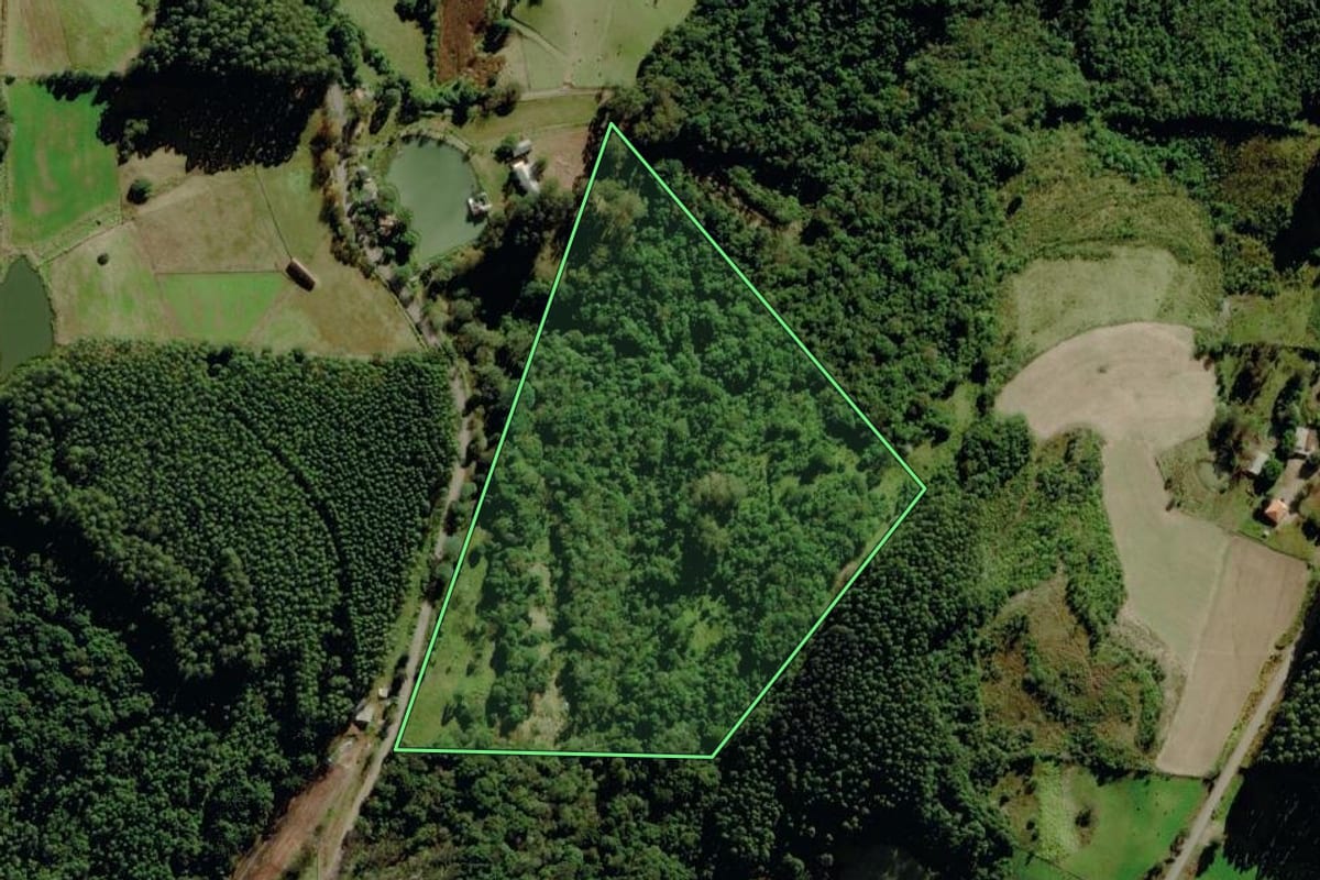 Imagem de satélite do imóvel rural em Progresso (RS), com o contorno declarado no CAR desenhado por cima.