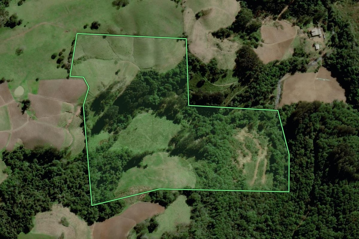 Imagem de satélite do imóvel rural em Progresso (RS), com o contorno declarado no CAR desenhado por cima.