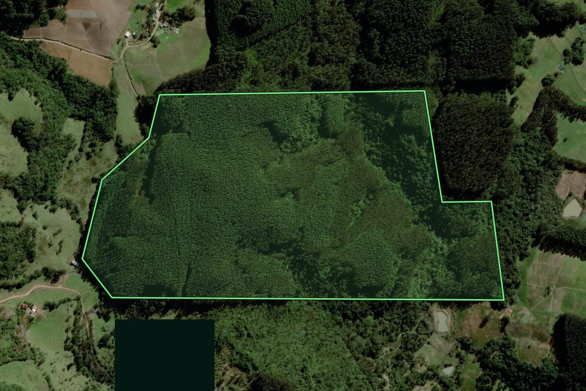 Imagem de satélite do imóvel rural em Progresso (RS), com o contorno declarado no CAR desenhado por cima.