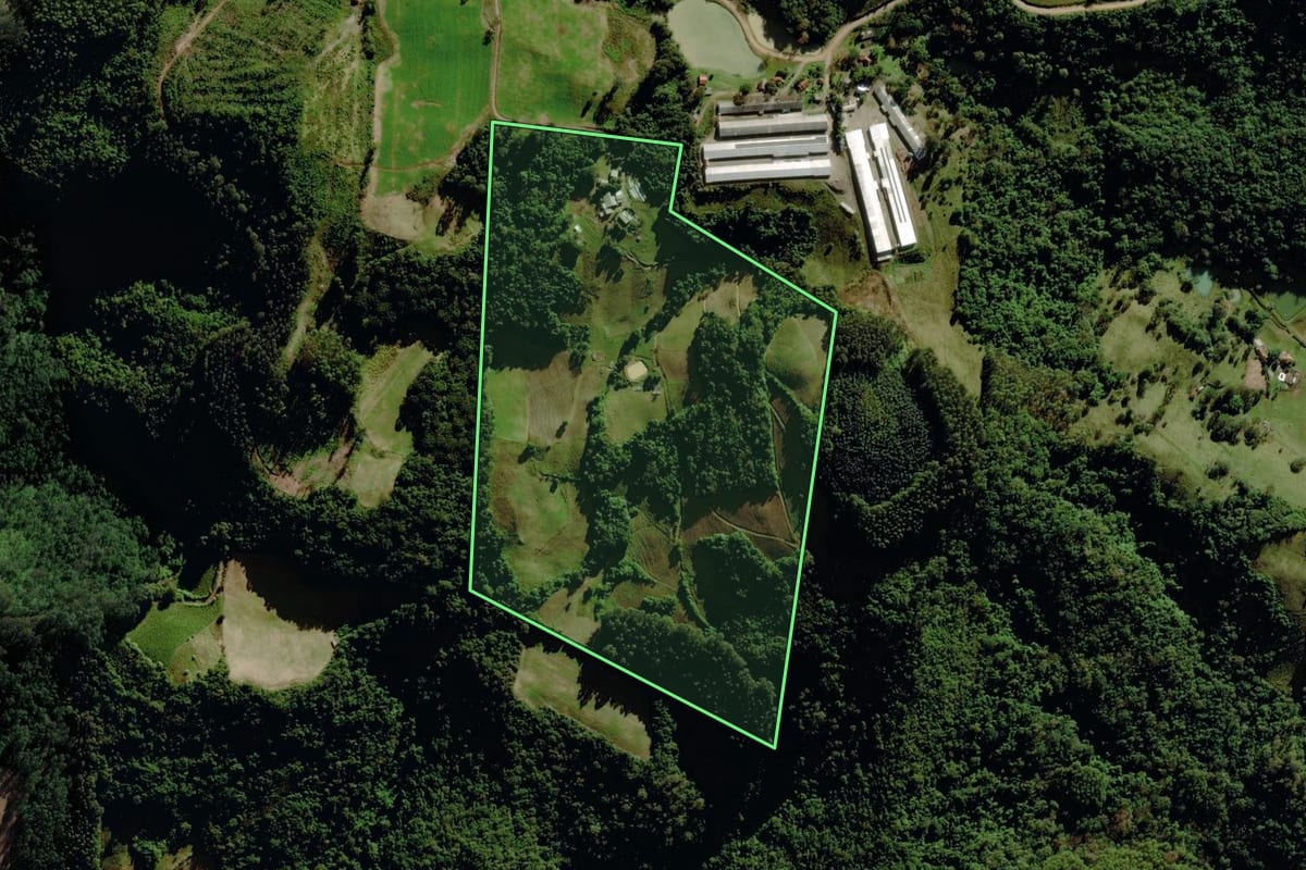 Imagem de satélite do imóvel rural em Progresso (RS), com o contorno declarado no CAR desenhado por cima.