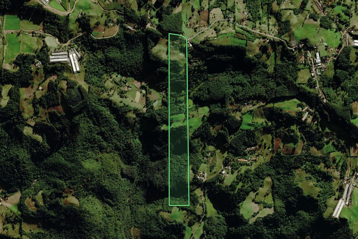 Imagem de satélite do imóvel rural em Progresso (RS), com o contorno declarado no CAR desenhado por cima.