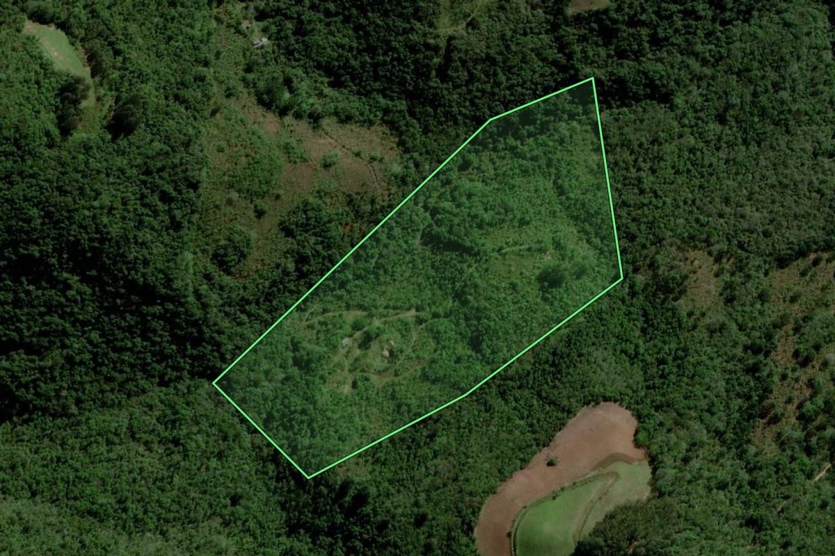Imagem de satélite do imóvel rural em Progresso (RS), com o contorno declarado no CAR desenhado por cima.