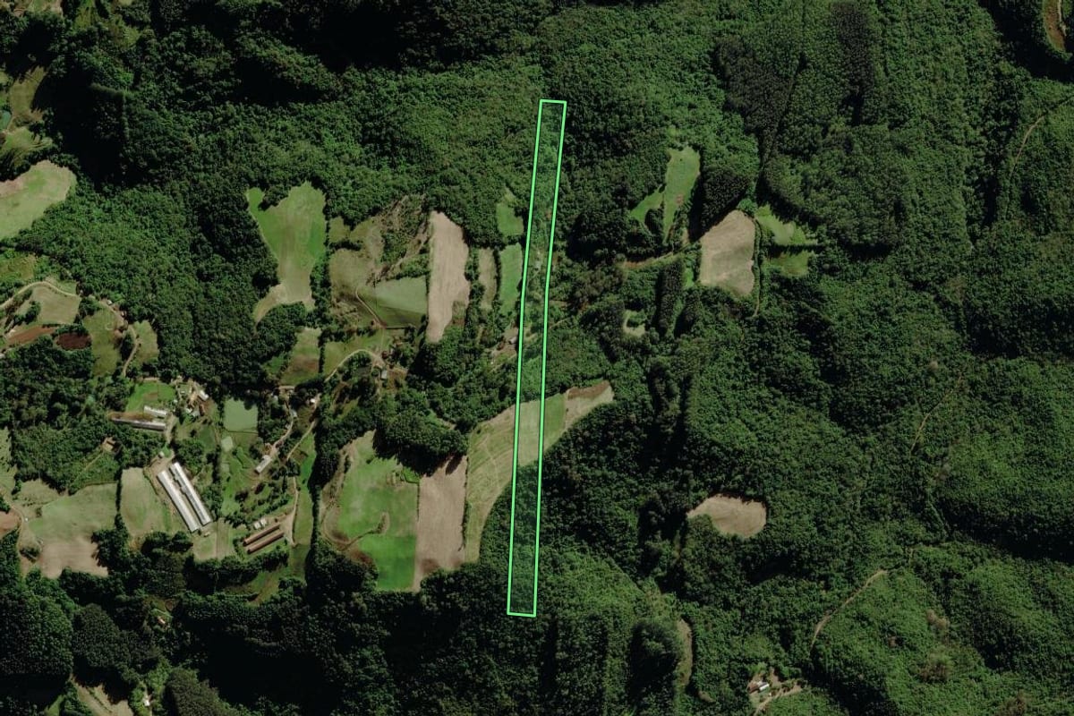 Imagem de satélite do imóvel rural em Progresso (RS), com o contorno declarado no CAR desenhado por cima.