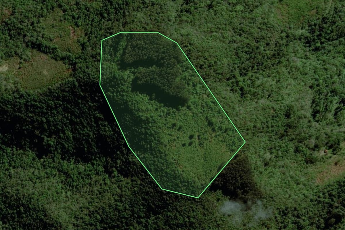 Imagem de satélite do imóvel rural em Progresso (RS), com o contorno declarado no CAR desenhado por cima.