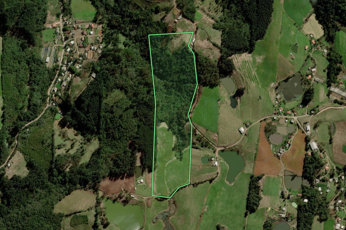 Imagem de satélite do imóvel rural em Progresso (RS), com o contorno declarado no CAR desenhado por cima.