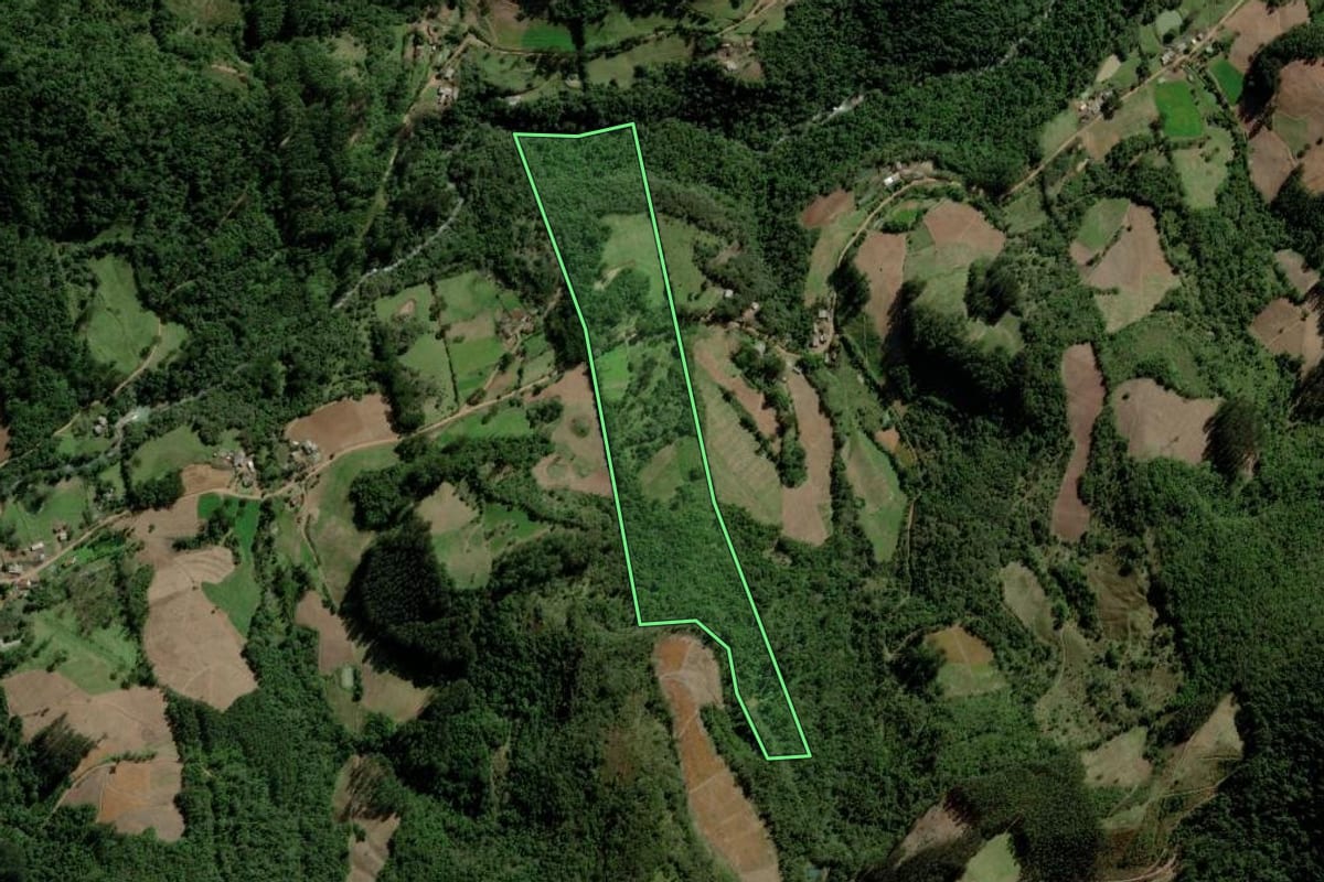 Imagem de satélite do imóvel rural em Progresso (RS), com o contorno declarado no CAR desenhado por cima.