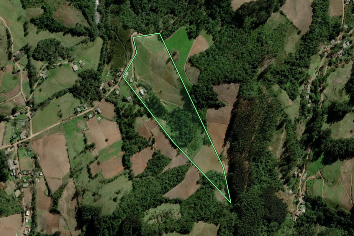 Imagem de satélite do imóvel rural em Progresso (RS), com o contorno declarado no CAR desenhado por cima.
