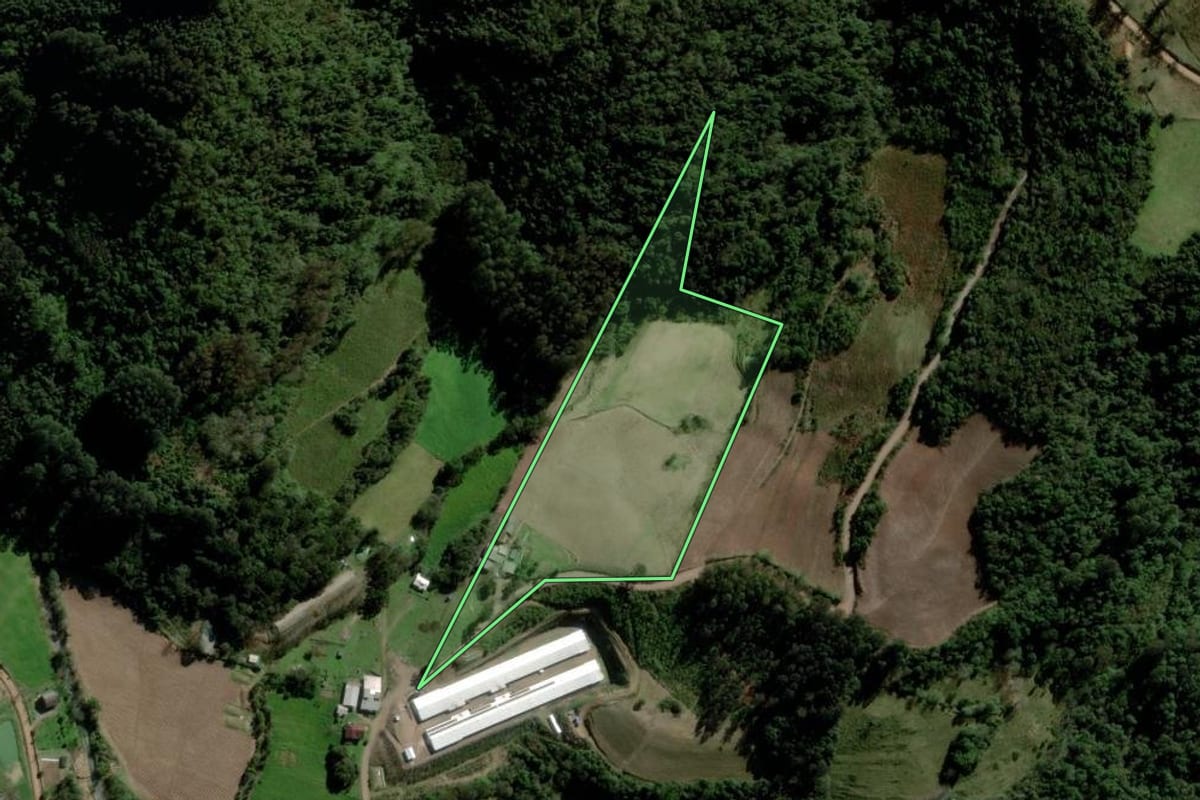 Imagem de satélite do imóvel rural em Progresso (RS), com o contorno declarado no CAR desenhado por cima.
