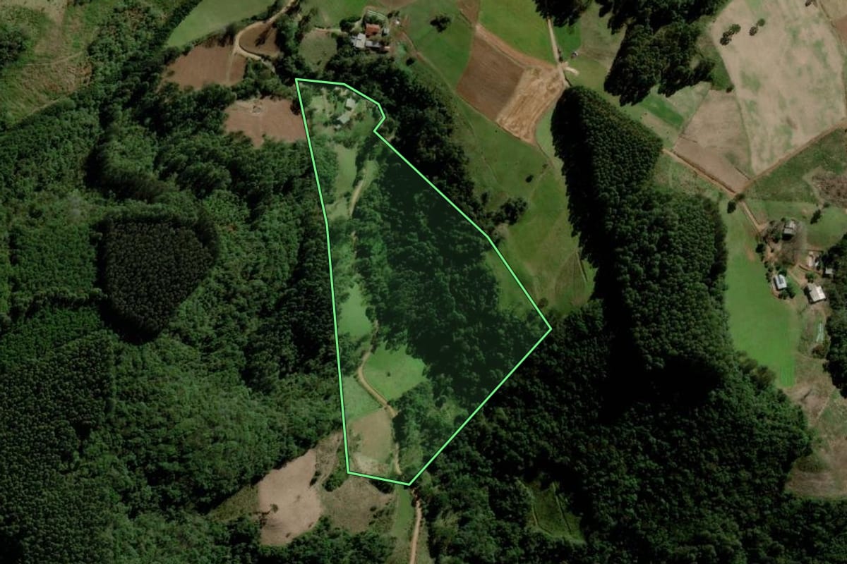Imagem de satélite do imóvel rural em Progresso (RS), com o contorno declarado no CAR desenhado por cima.