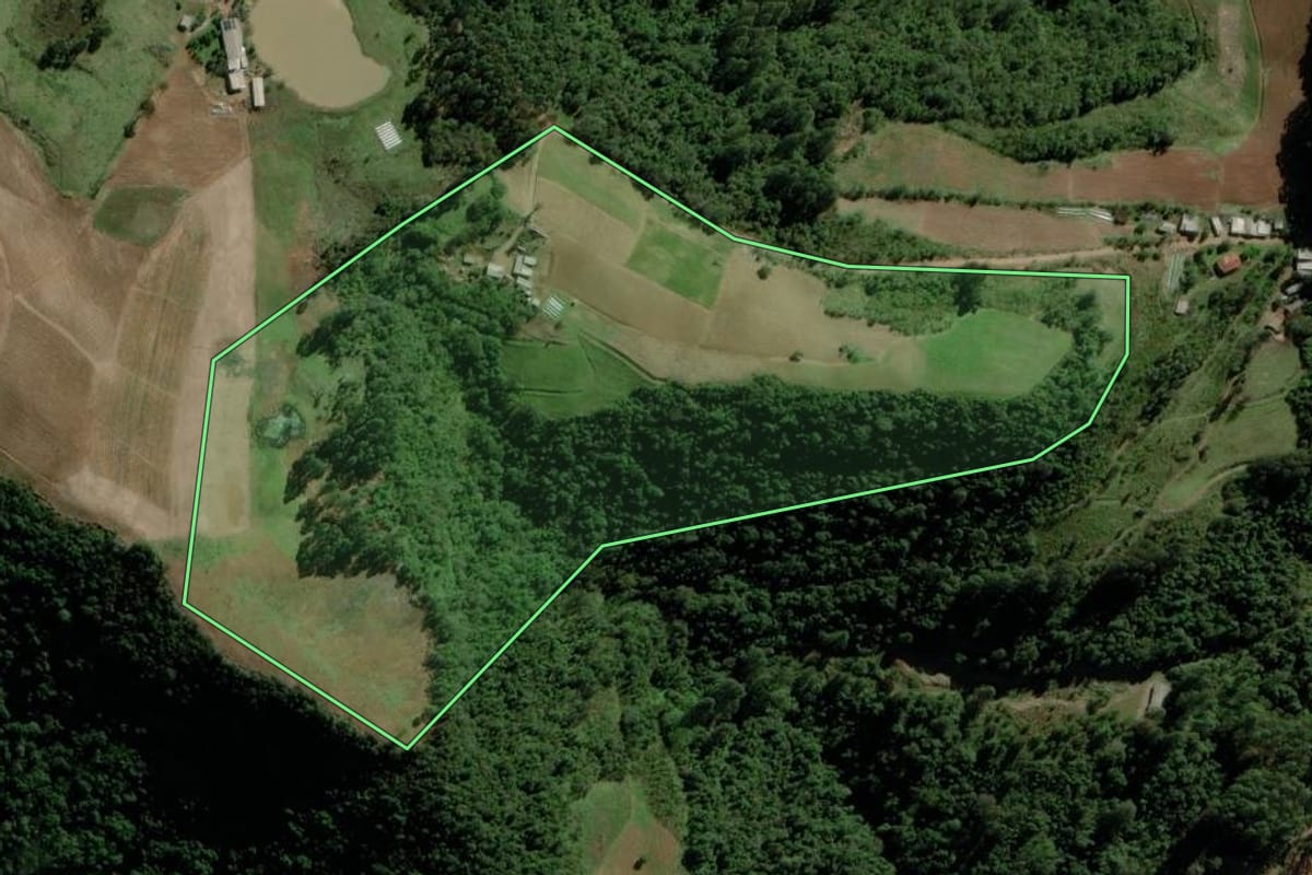 Imagem de satélite do imóvel rural em Progresso (RS), com o contorno declarado no CAR desenhado por cima.