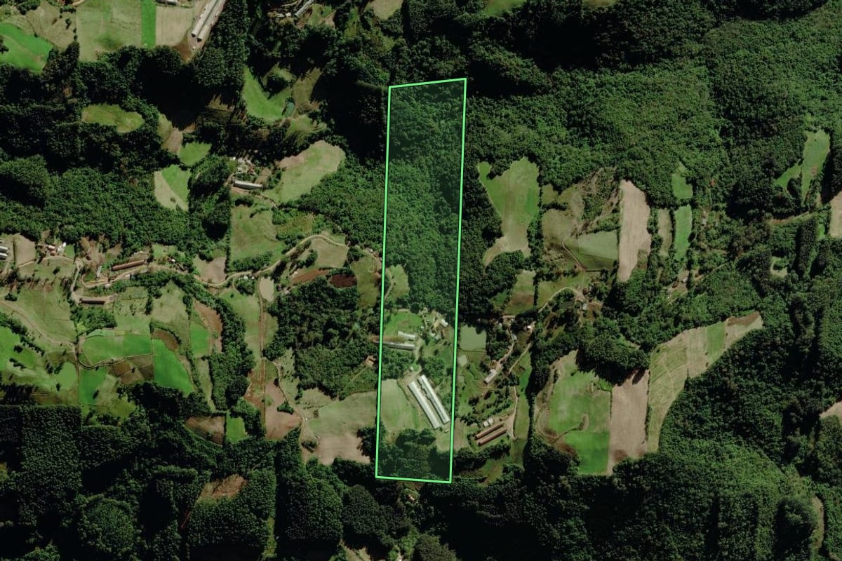Imagem de satélite do imóvel rural em Progresso (RS), com o contorno declarado no CAR desenhado por cima.