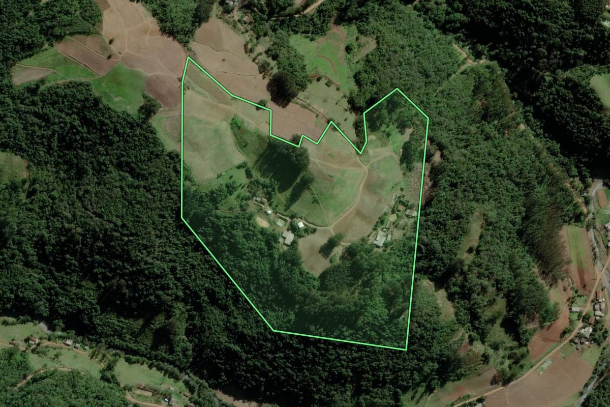 Imagem de satélite do imóvel rural em Progresso (RS), com o contorno declarado no CAR desenhado por cima.