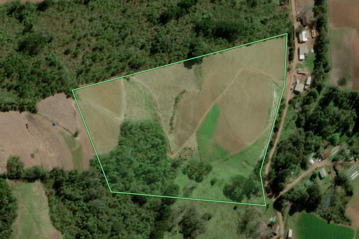 Imagem de satélite do imóvel rural em Progresso (RS), com o contorno declarado no CAR desenhado por cima.