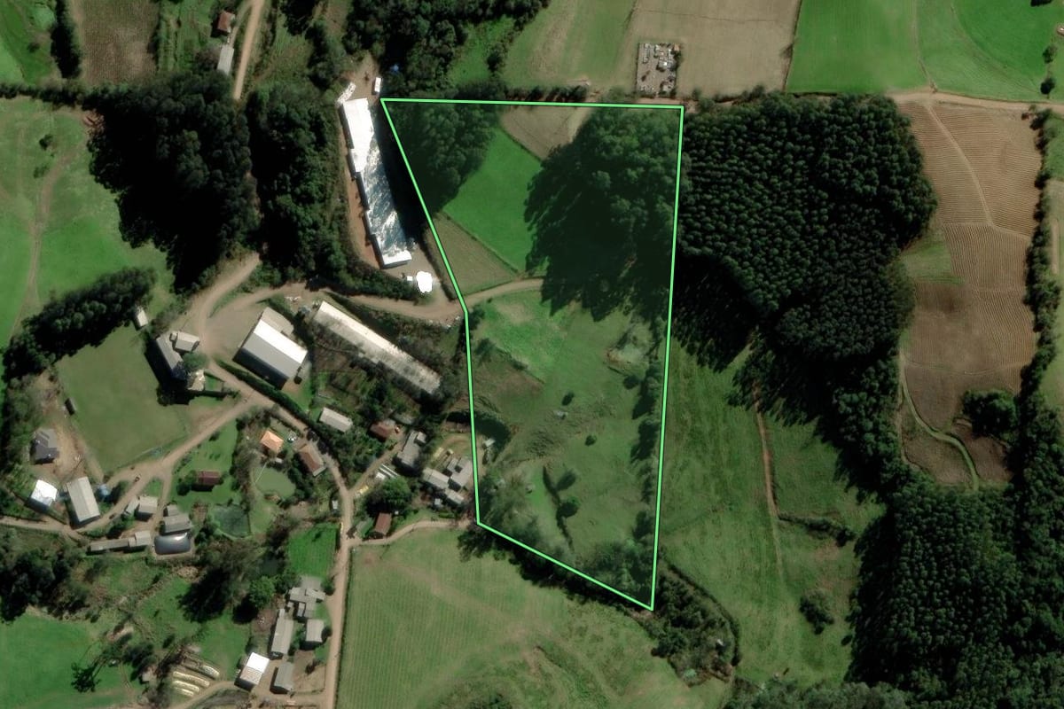 Imagem de satélite do imóvel rural em Progresso (RS), com o contorno declarado no CAR desenhado por cima.