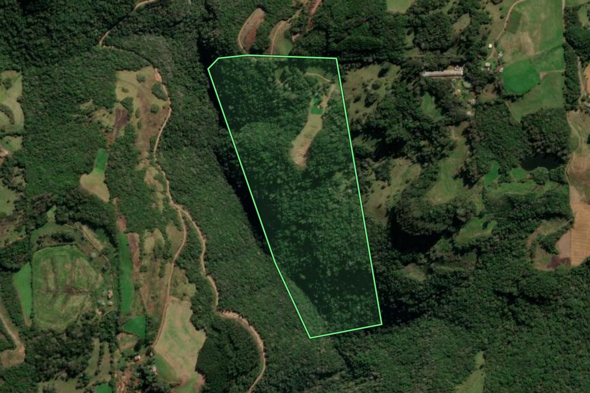 Imagem de satélite do imóvel rural em Protásio Alves (RS), com o contorno declarado no CAR desenhado por cima.