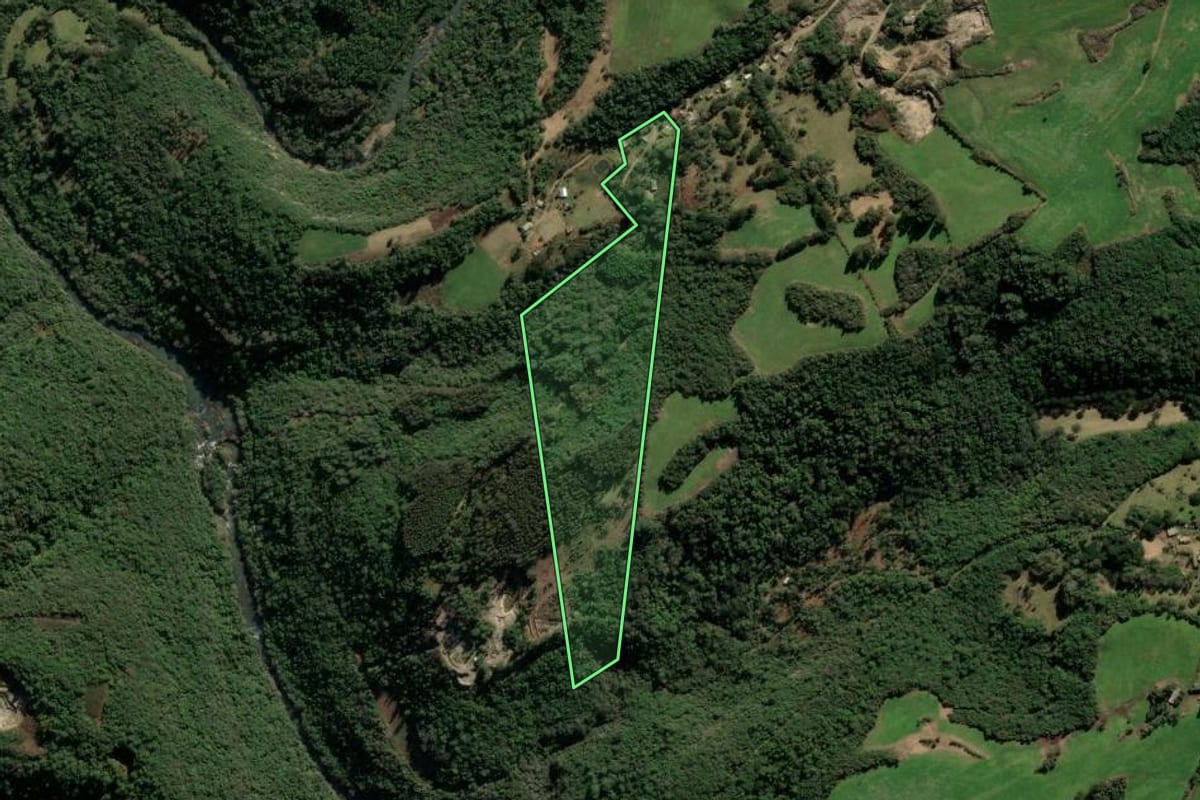 Imagem de satélite do imóvel rural em Protásio Alves (RS), com o contorno declarado no CAR desenhado por cima.