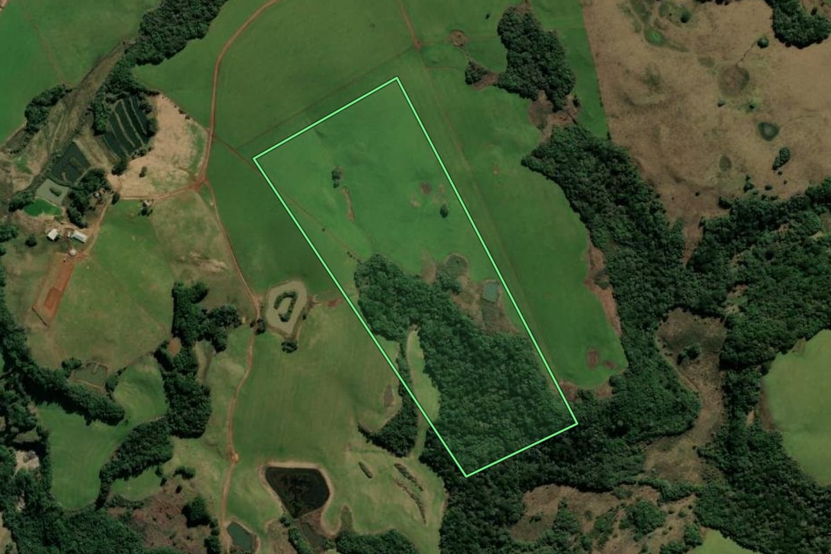 Imagem de satélite do imóvel rural em Protásio Alves (RS), com o contorno declarado no CAR desenhado por cima.