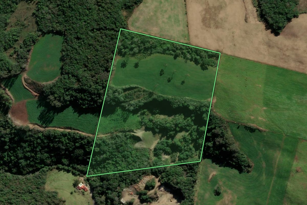 Imagem de satélite do imóvel rural em Protásio Alves (RS), com o contorno declarado no CAR desenhado por cima.