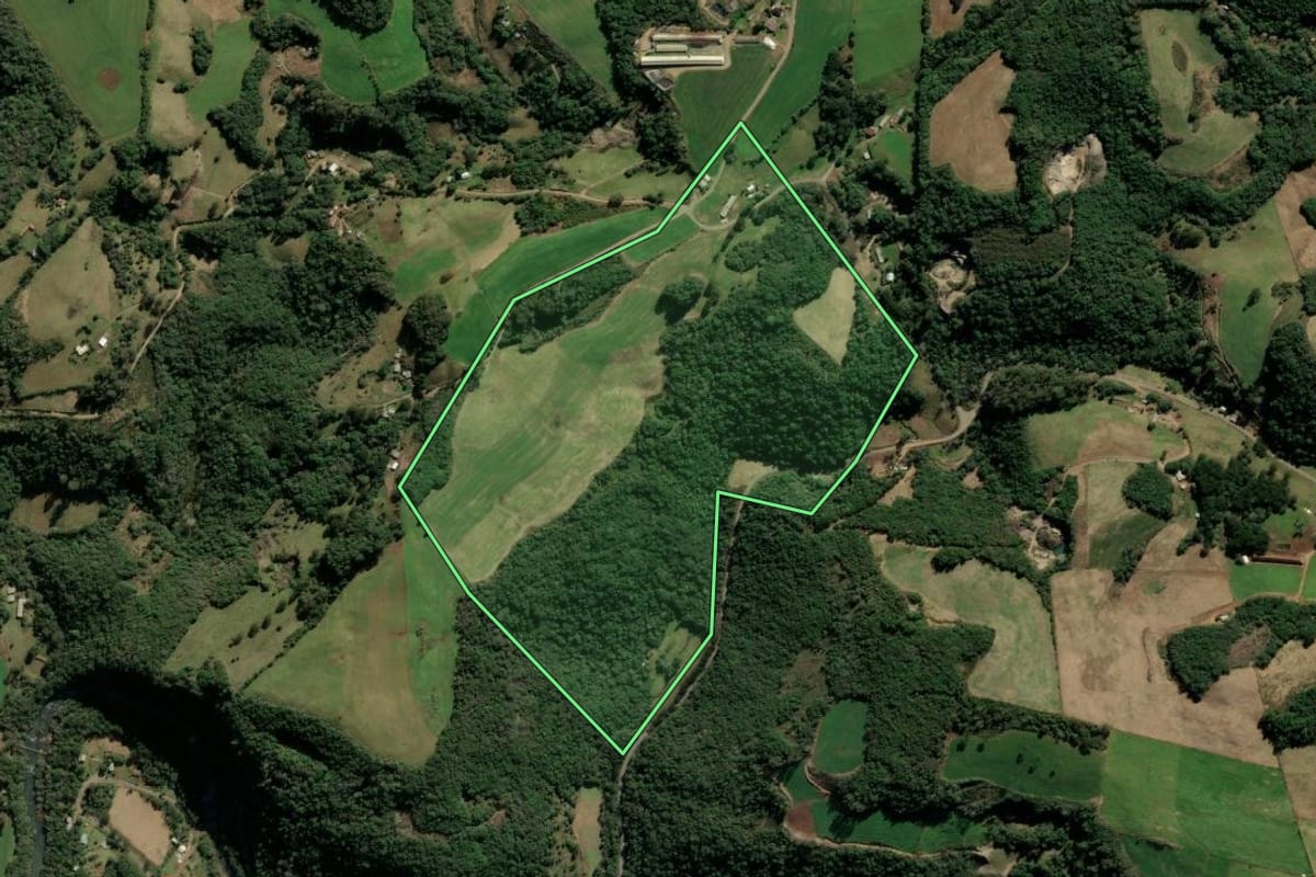 Imagem de satélite do imóvel rural em Protásio Alves (RS), com o contorno declarado no CAR desenhado por cima.