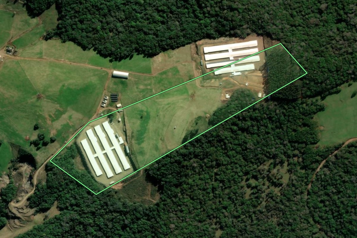 Imagem de satélite do imóvel rural em Protásio Alves (RS), com o contorno declarado no CAR desenhado por cima.