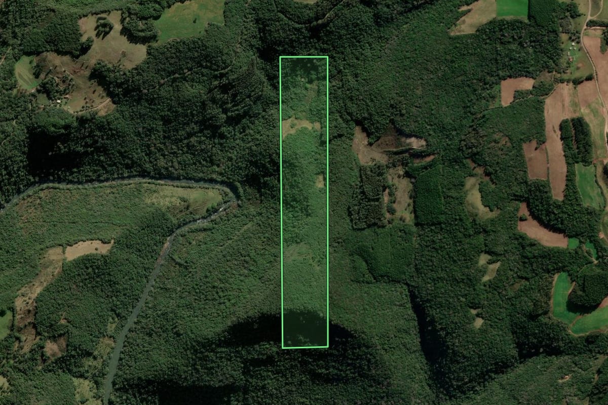 Imagem de satélite do imóvel rural em Protásio Alves (RS), com o contorno declarado no CAR desenhado por cima.