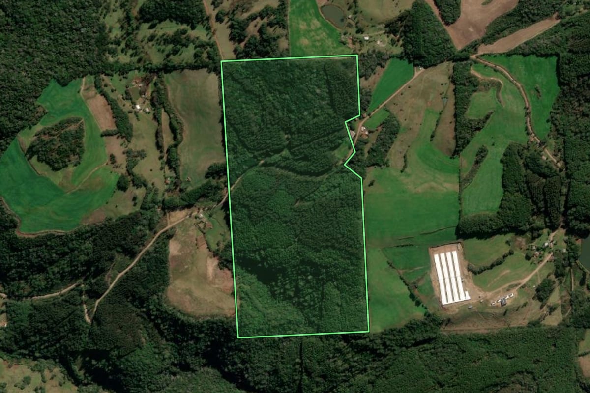 Imagem de satélite do imóvel rural em Protásio Alves (RS), com o contorno declarado no CAR desenhado por cima.