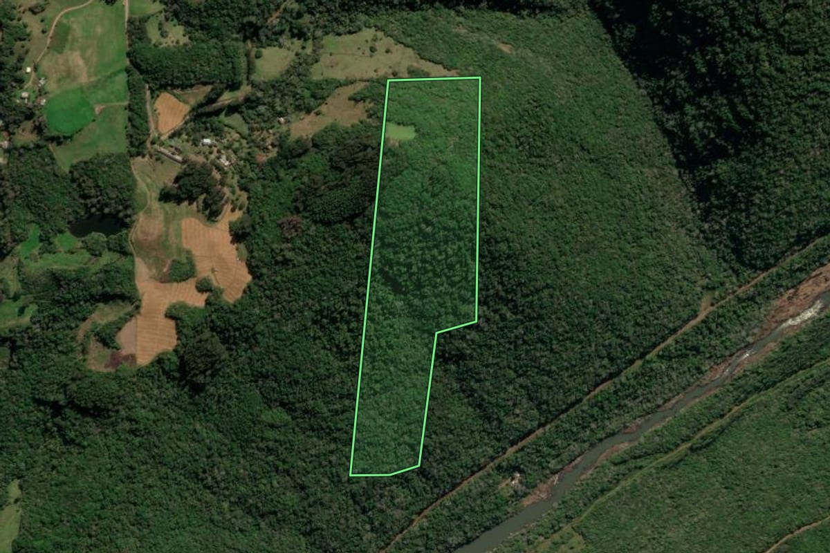 Imagem de satélite do imóvel rural em Protásio Alves (RS), com o contorno declarado no CAR desenhado por cima.