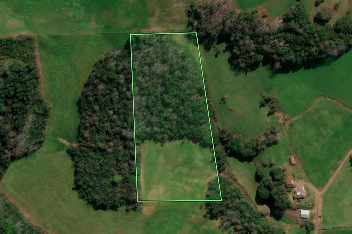 Imagem de satélite do imóvel rural em Protásio Alves (RS), com o contorno declarado no CAR desenhado por cima.