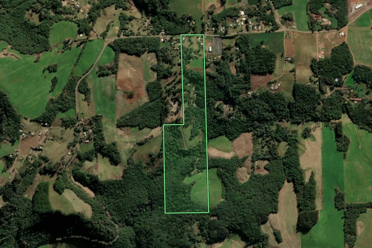 Imagem de satélite do imóvel rural em Protásio Alves (RS), com o contorno declarado no CAR desenhado por cima.