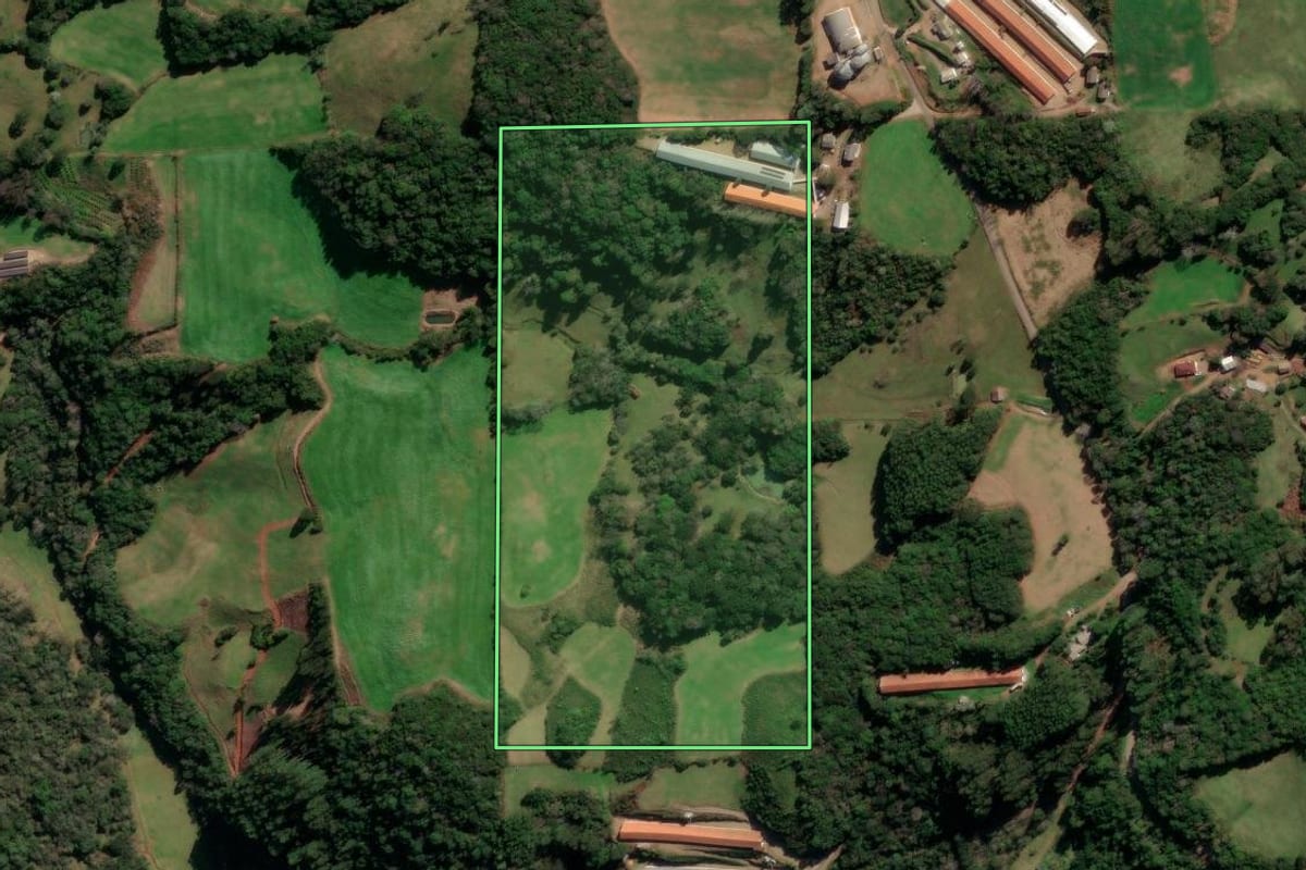 Imagem de satélite do imóvel rural em Protásio Alves (RS), com o contorno declarado no CAR desenhado por cima.
