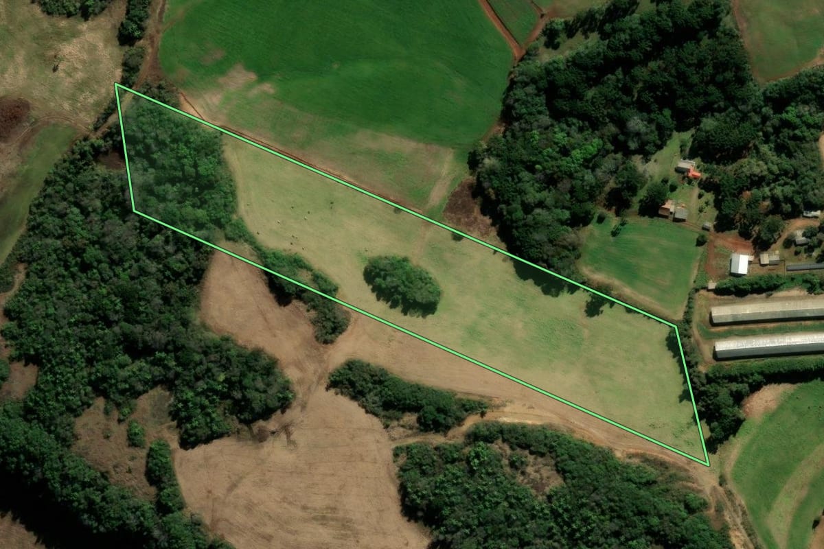 Imagem de satélite do imóvel rural em Protásio Alves (RS), com o contorno declarado no CAR desenhado por cima.