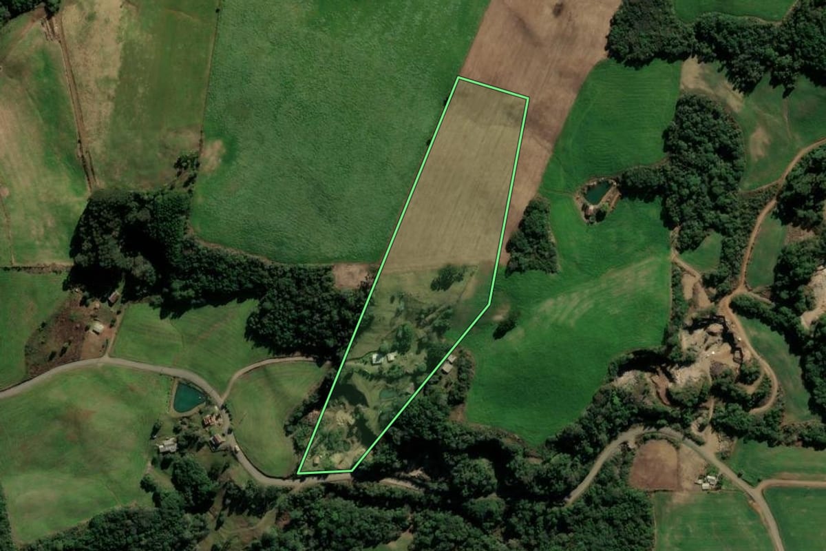 Imagem de satélite do imóvel rural em Protásio Alves (RS), com o contorno declarado no CAR desenhado por cima.