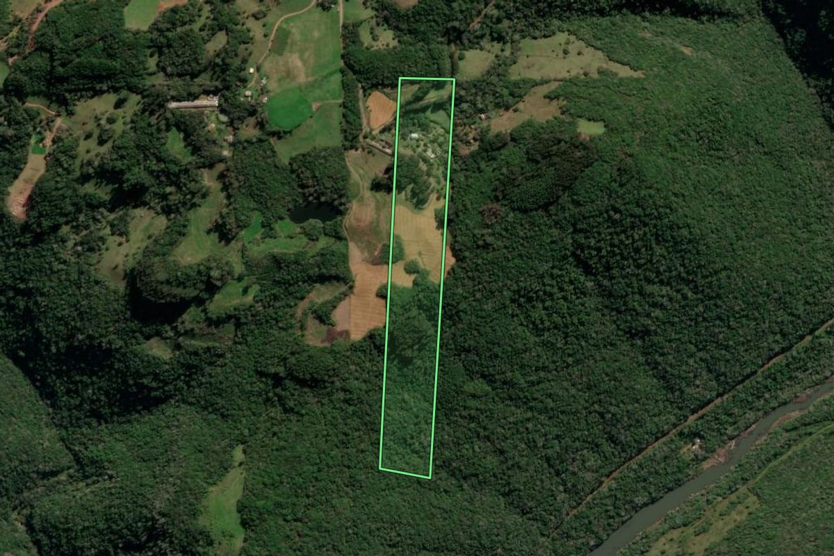 Imagem de satélite do imóvel rural em Protásio Alves (RS), com o contorno declarado no CAR desenhado por cima.