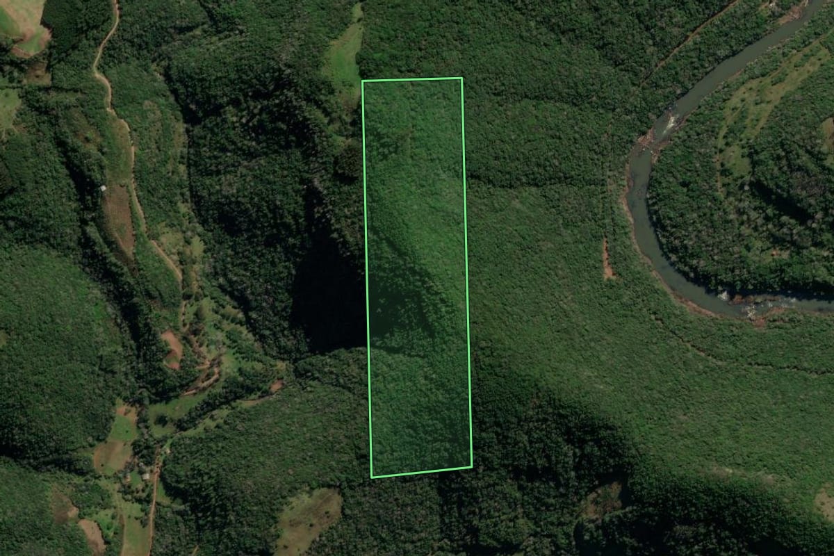 Imagem de satélite do imóvel rural em Protásio Alves (RS), com o contorno declarado no CAR desenhado por cima.