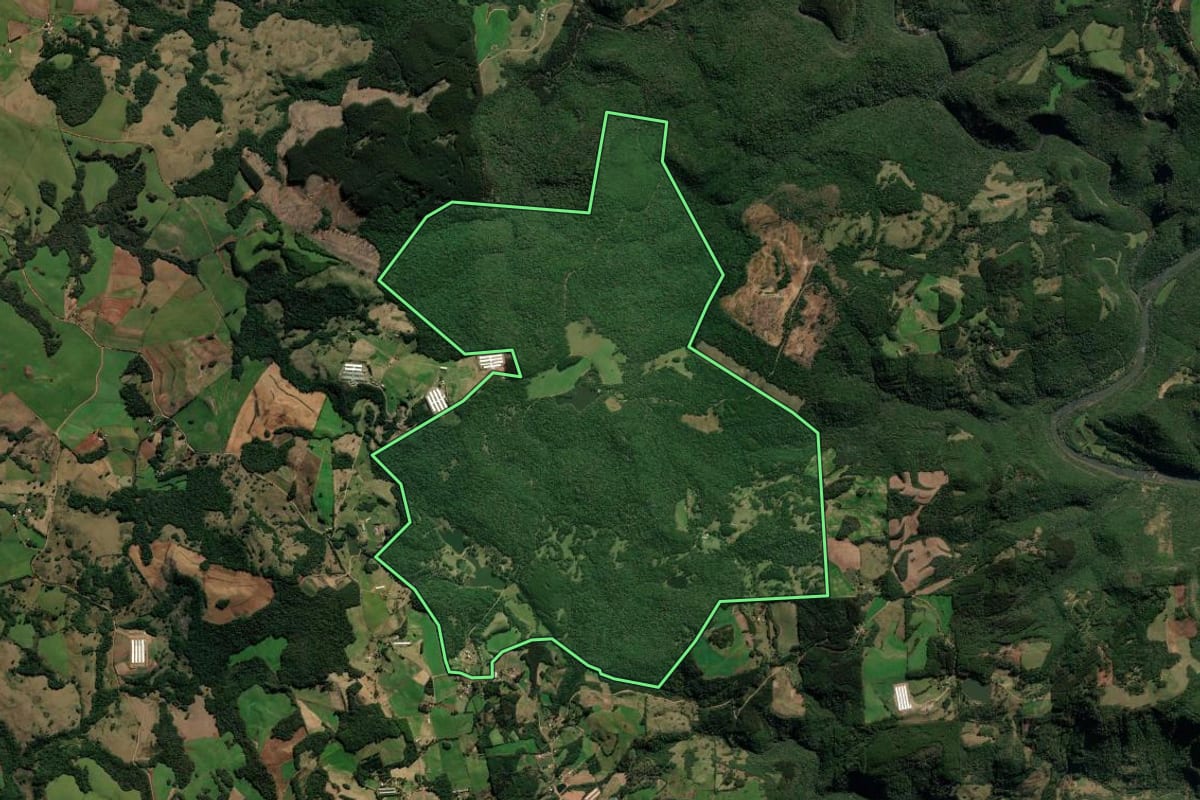 Imagem de satélite do imóvel rural em Protásio Alves (RS), com o contorno declarado no CAR desenhado por cima.