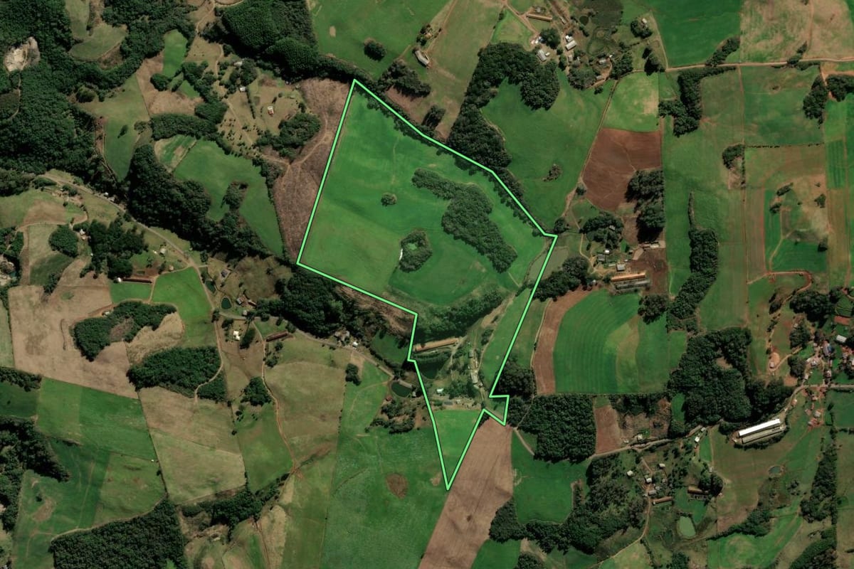 Imagem de satélite do imóvel rural em Protásio Alves (RS), com o contorno declarado no CAR desenhado por cima.