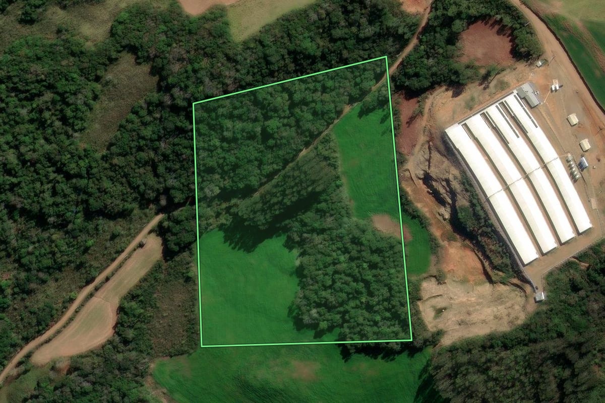 Imagem de satélite do imóvel rural em Protásio Alves (RS), com o contorno declarado no CAR desenhado por cima.