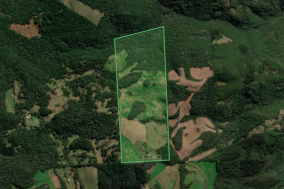Imagem de satélite do imóvel rural em Protásio Alves (RS), com o contorno declarado no CAR desenhado por cima.