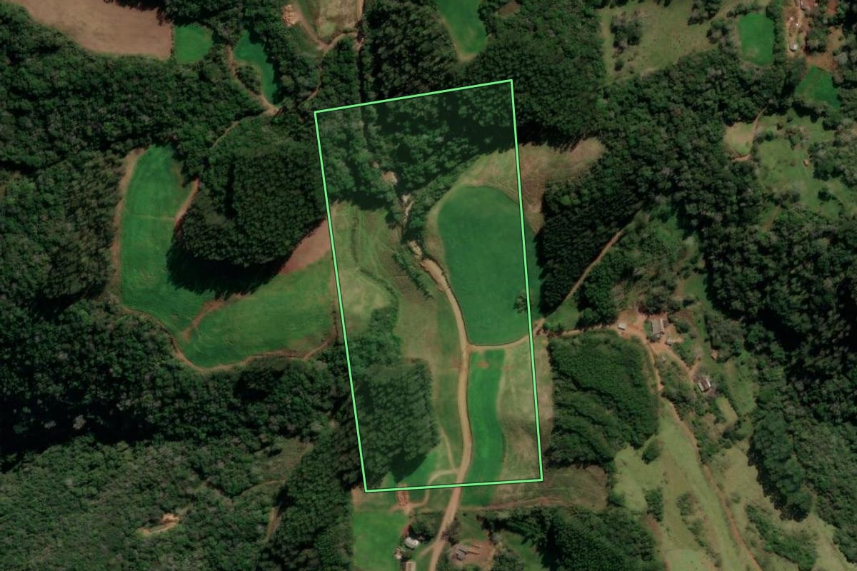 Imagem de satélite do imóvel rural em Protásio Alves (RS), com o contorno declarado no CAR desenhado por cima.