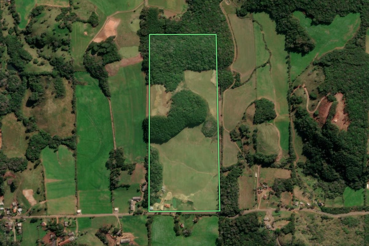 Imagem de satélite do imóvel rural em Protásio Alves (RS), com o contorno declarado no CAR desenhado por cima.