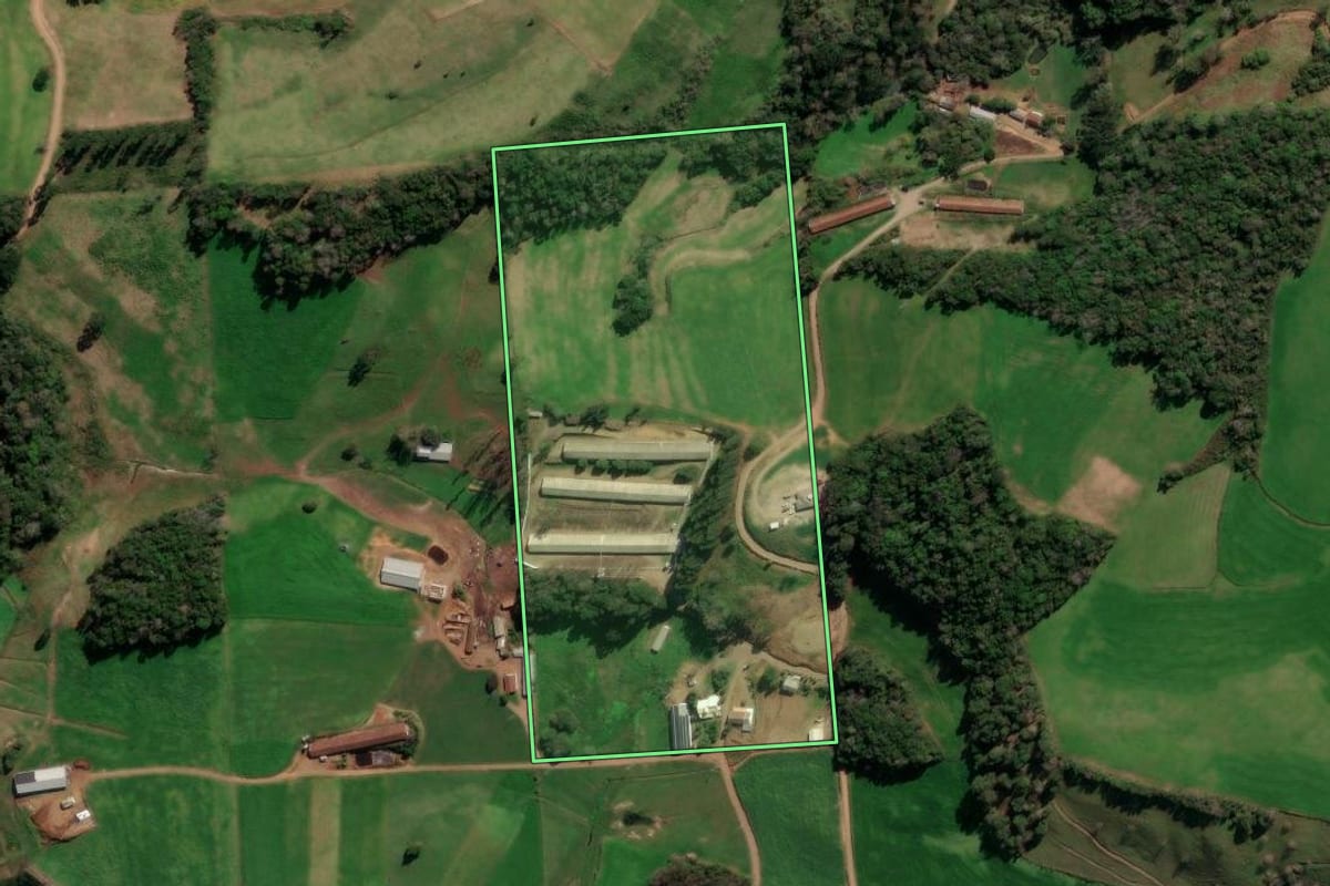 Imagem de satélite do imóvel rural em Protásio Alves (RS), com o contorno declarado no CAR desenhado por cima.