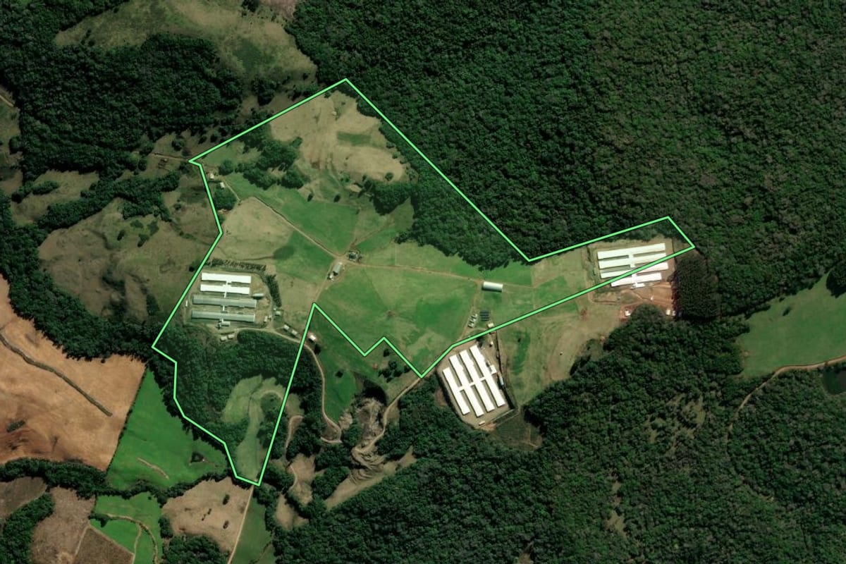 Imagem de satélite do imóvel rural em Protásio Alves (RS), com o contorno declarado no CAR desenhado por cima.