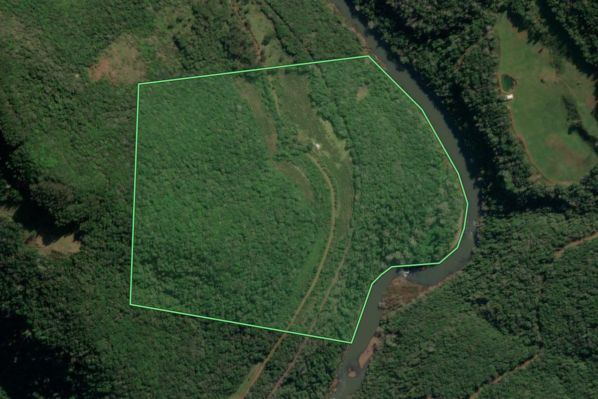 Imagem de satélite do imóvel rural em Protásio Alves (RS), com o contorno declarado no CAR desenhado por cima.