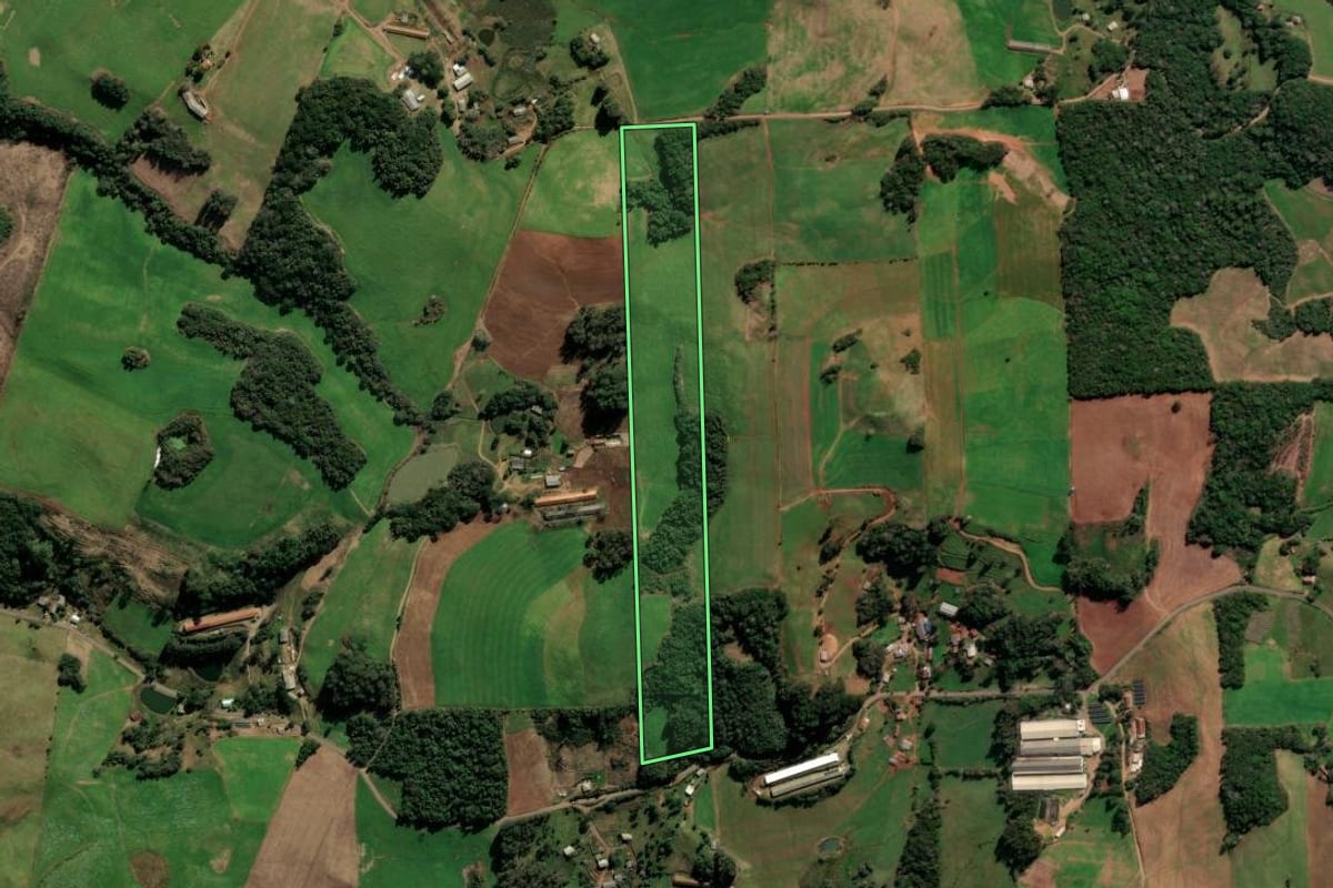 Imagem de satélite do imóvel rural em Protásio Alves (RS), com o contorno declarado no CAR desenhado por cima.