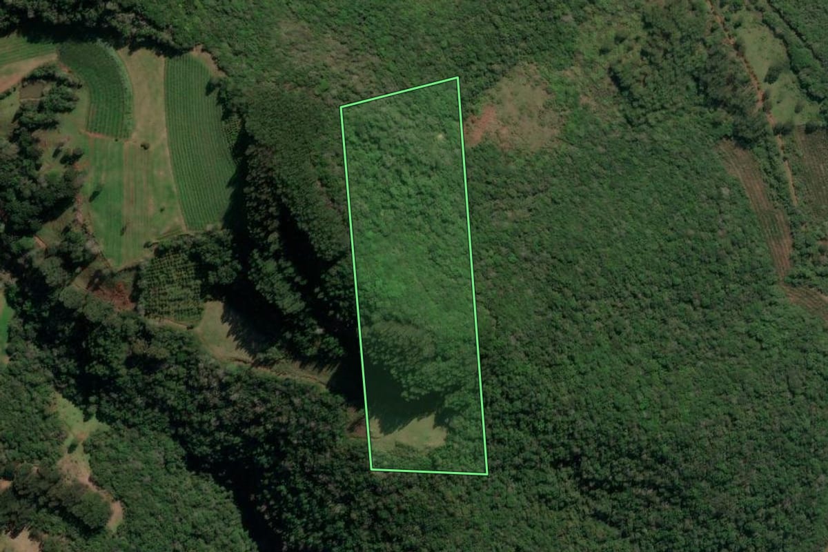 Imagem de satélite do imóvel rural em Protásio Alves (RS), com o contorno declarado no CAR desenhado por cima.