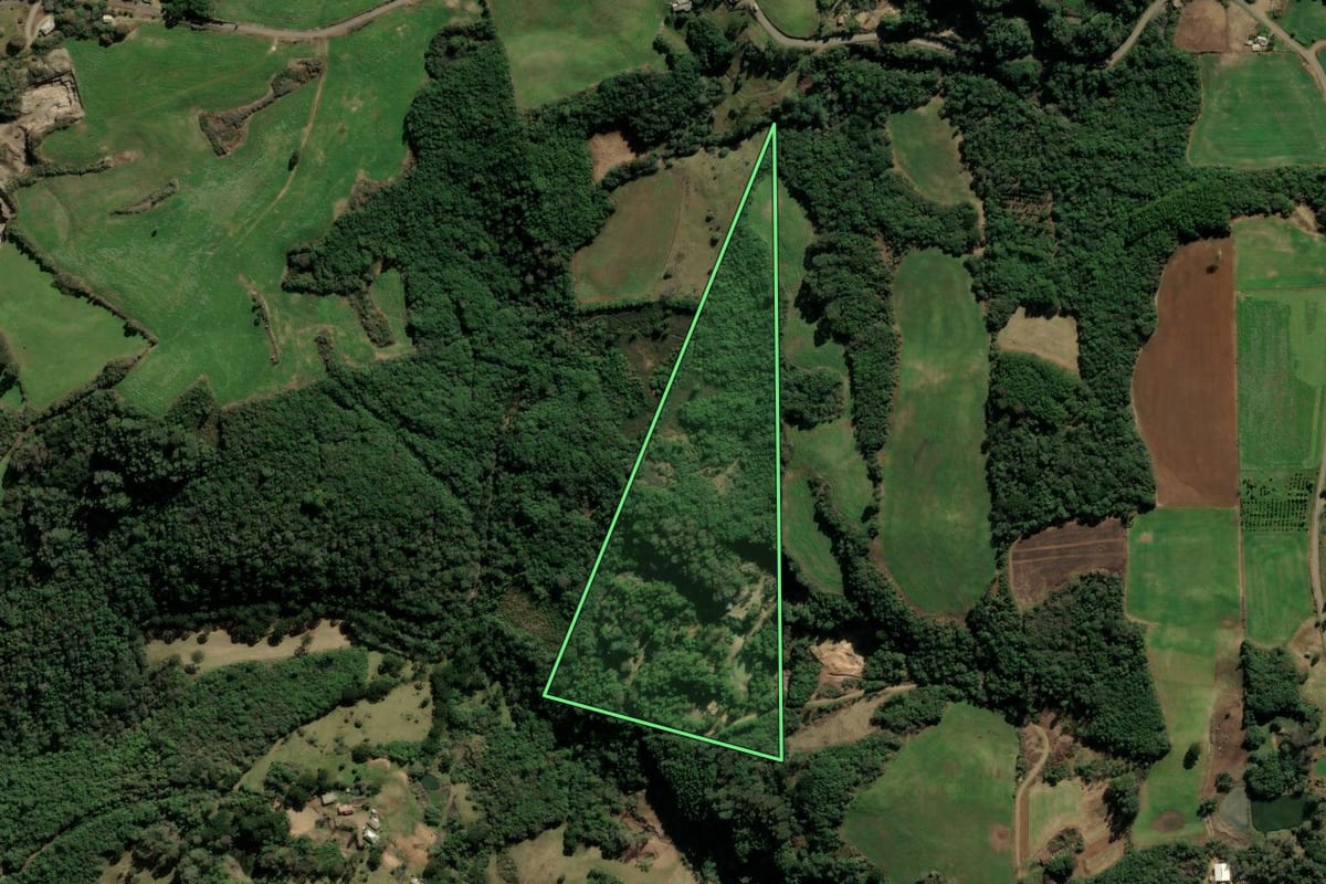 Imagem de satélite do imóvel rural em Protásio Alves (RS), com o contorno declarado no CAR desenhado por cima.