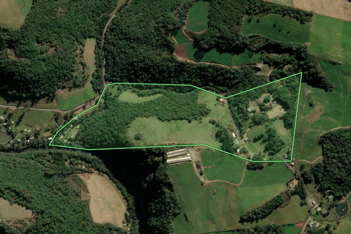 Imagem de satélite do imóvel rural em Protásio Alves (RS), com o contorno declarado no CAR desenhado por cima.