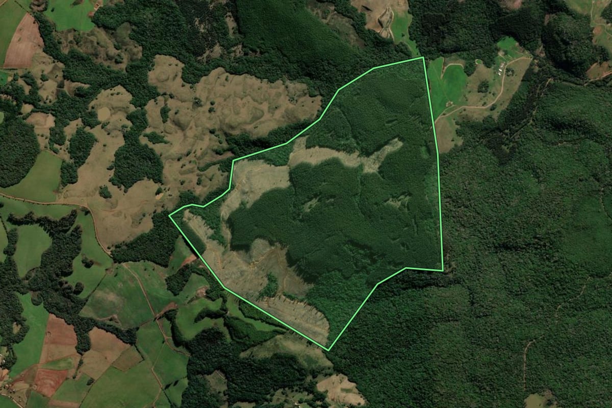 Imagem de satélite do imóvel rural em Protásio Alves (RS), com o contorno declarado no CAR desenhado por cima.